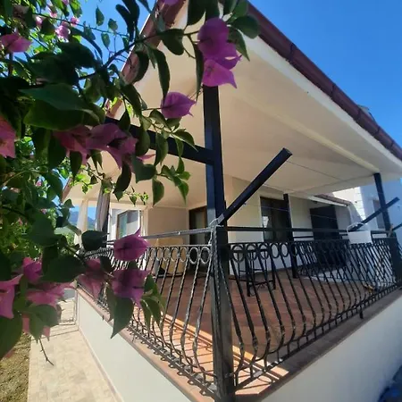 Dalyan Last Summer מוגלה